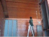 木板墙白蚁防治施工